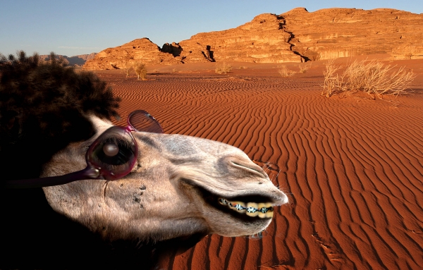 Creation of Ugly Betty of the Desert: Step 8